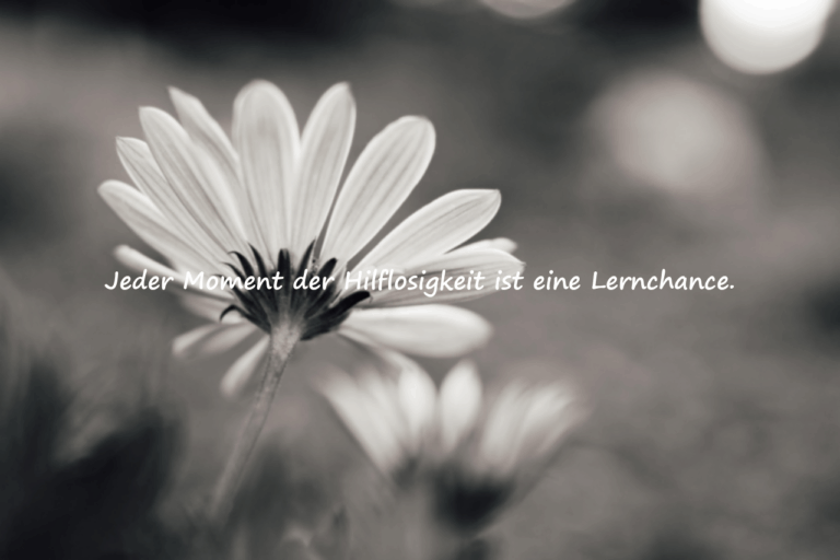 Zitate zur Hilflosigkeit