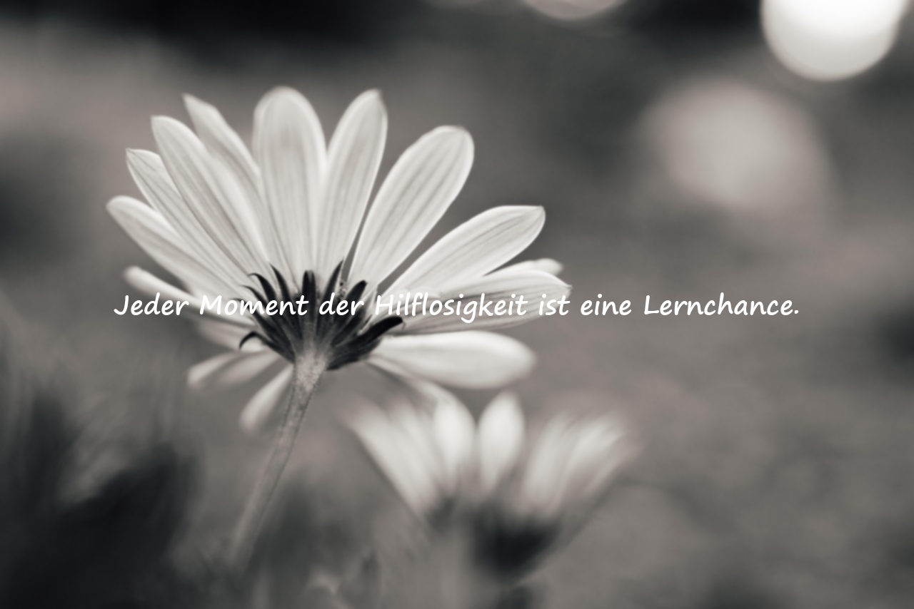 Zitate zur Hilflosigkeit