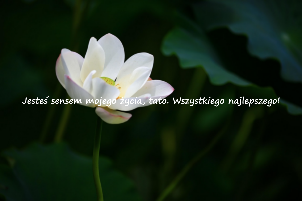 Życzenia urodzinowe dla taty