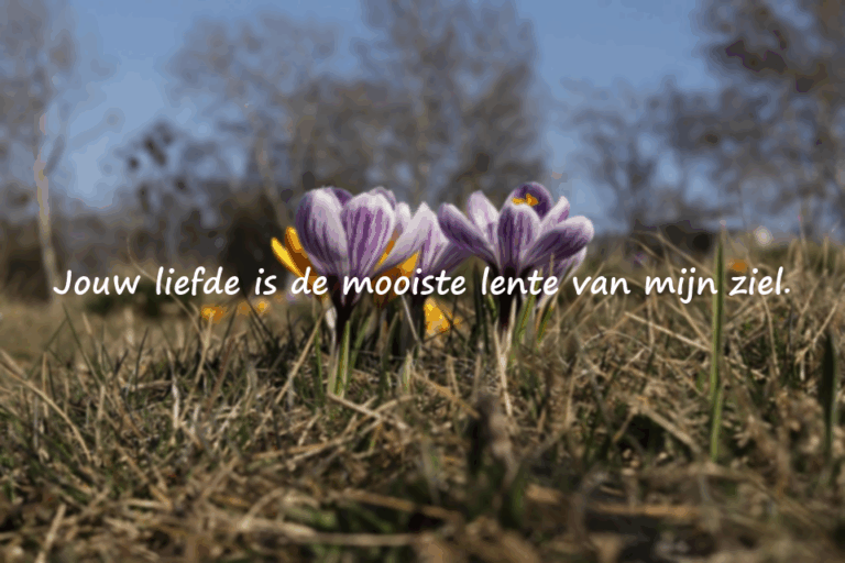 Mooie en betekenisvolle woorden voor echtgenoten