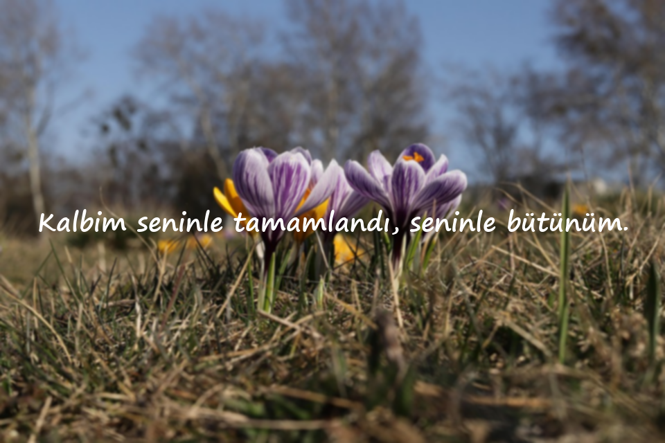 Karıma Anlamlı Güzel Sözler