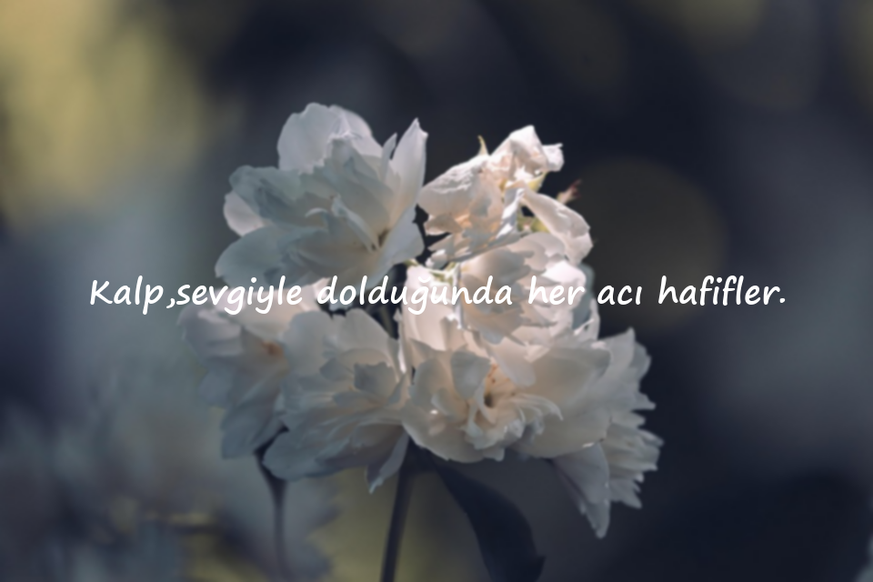 kalp ile ilgili sözler