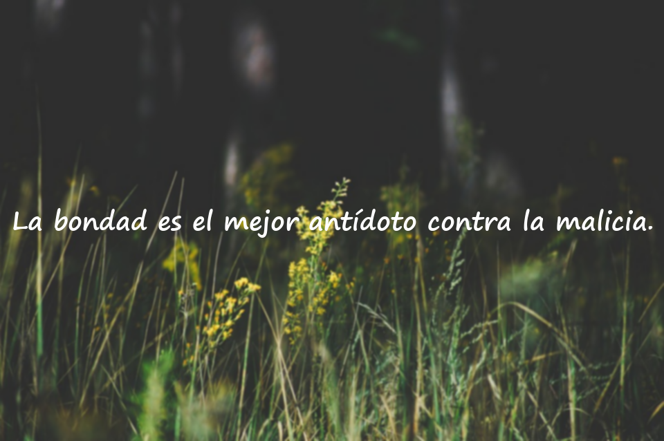 Frases sobre la Malicia