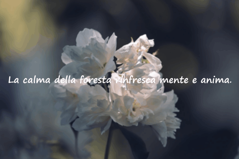 Frasi sulla natura