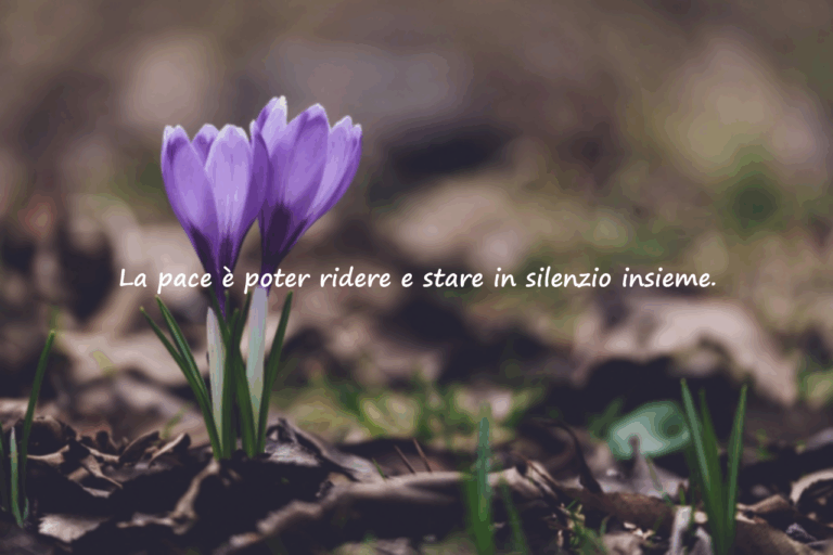 Parole sulla Pace per le Famiglie