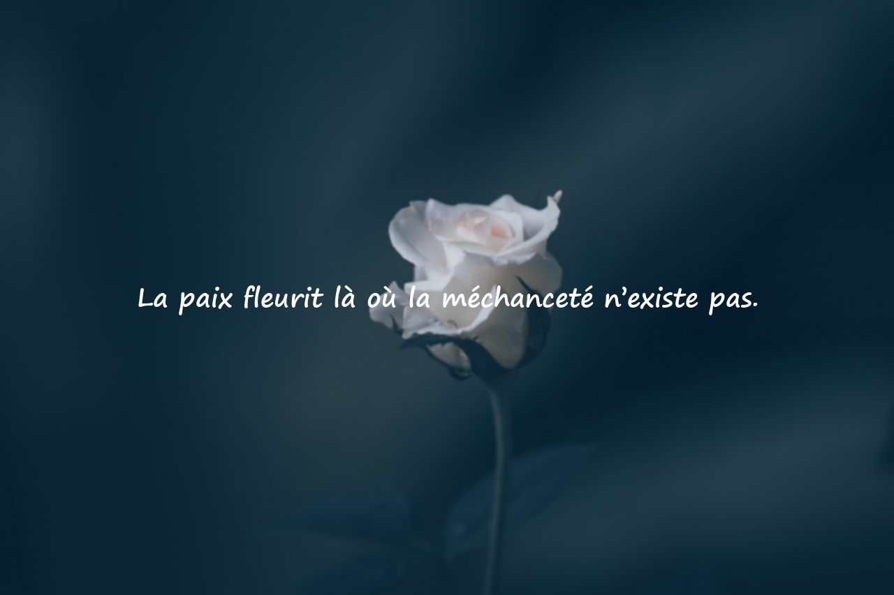 Citations sur la Méchanceté