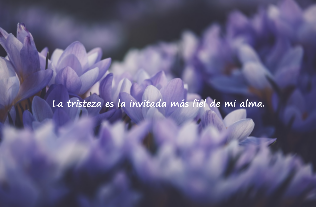 Frases Melancólicas
