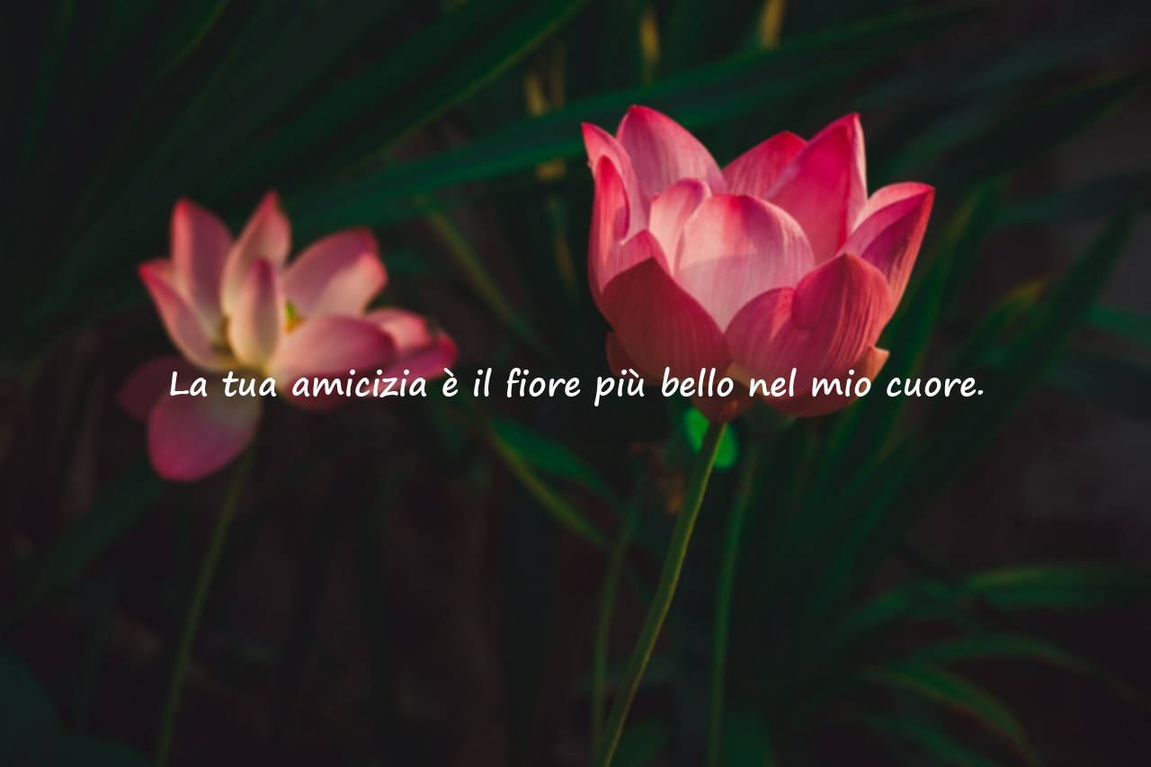 Citazioni sull’amicizia