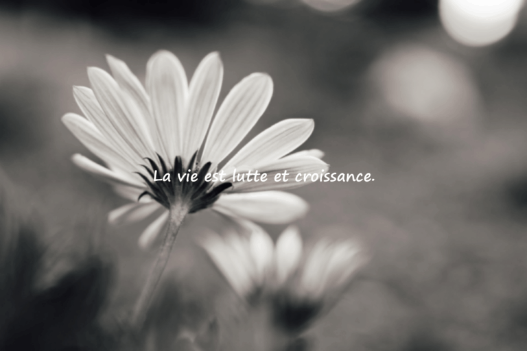Belles citations sur la vie