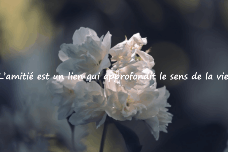 Citations sur l’amitié