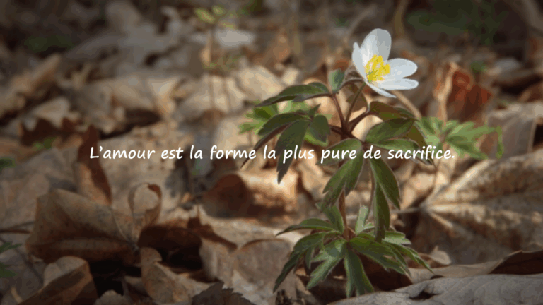 Citations sur le sacrifice