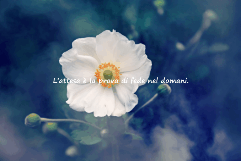 Citazioni sull’attesa