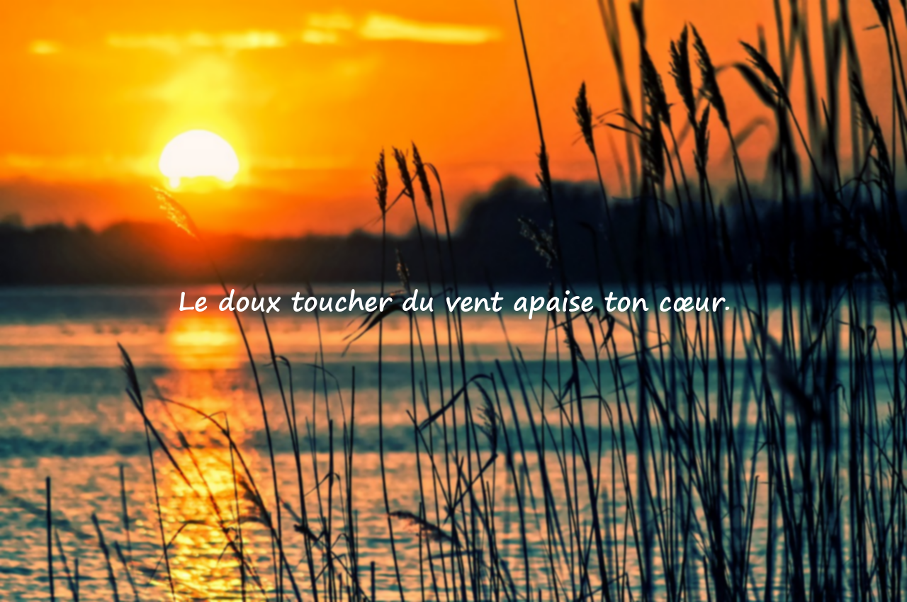 Phrases sur la nature