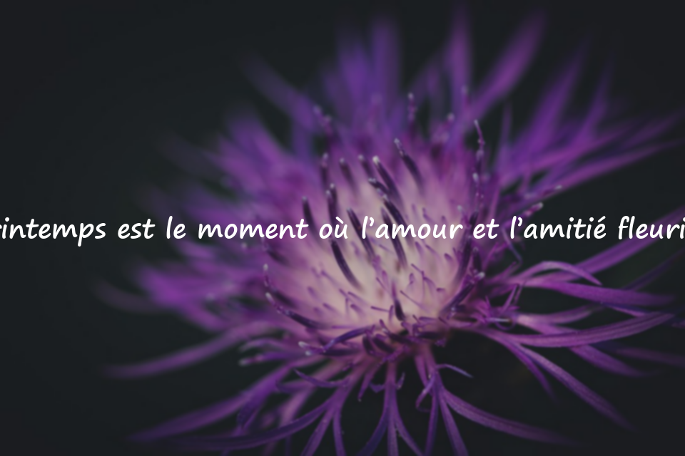 Citations sur le Printemps