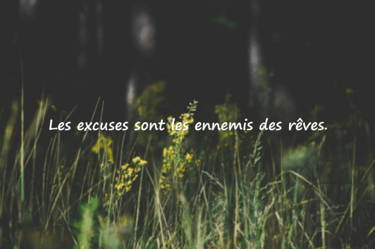 Excuses et Action