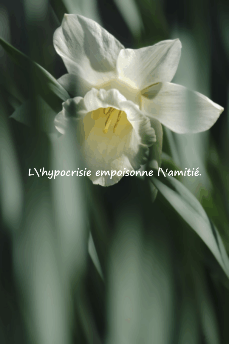 Paroles dures et allusives pour les hypocrites