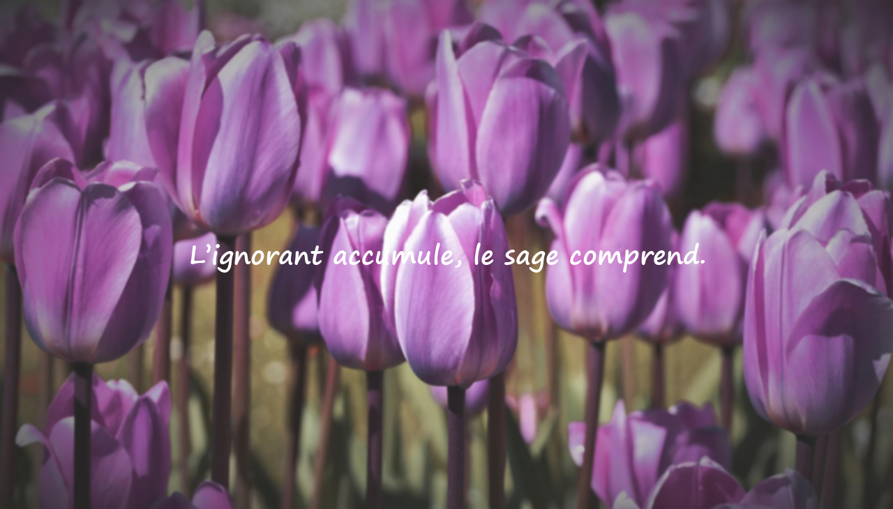 Citations sur l’ignorance