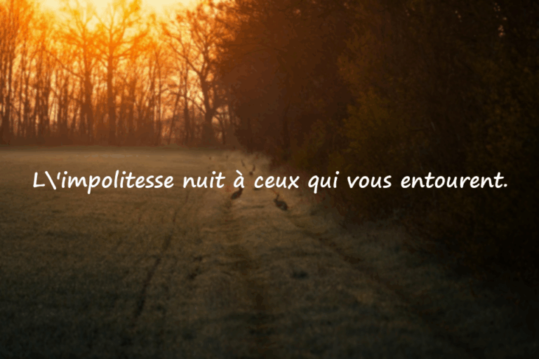 Citations sur l’impolitesse
