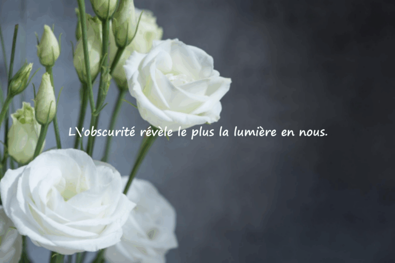 Citations significatives sur la nuit