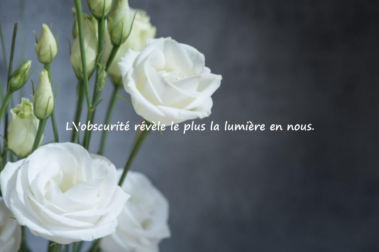 Citations significatives sur la nuit