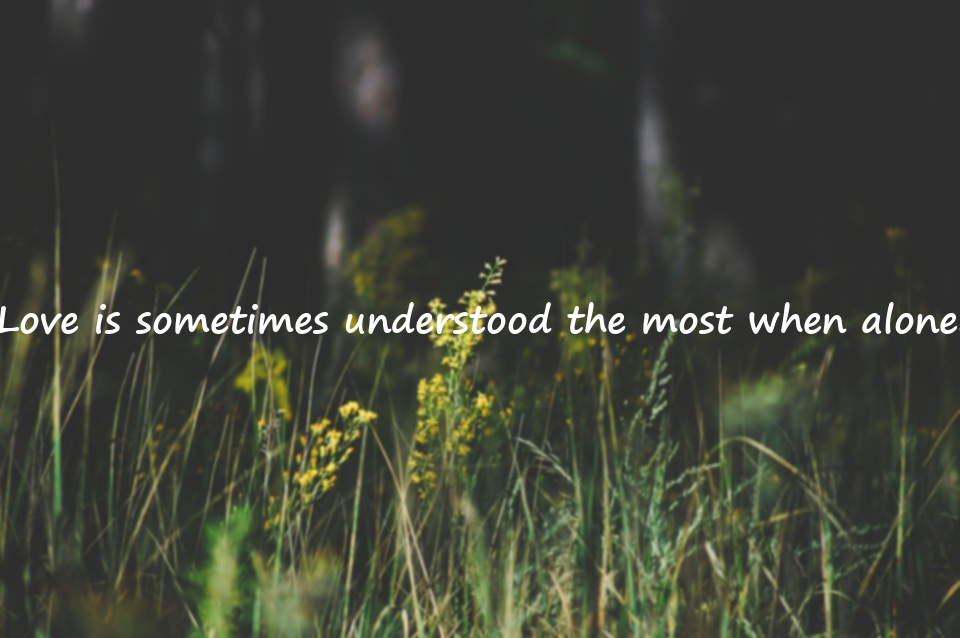 Implied Love Quotes