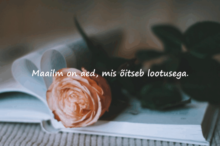 Sõpruse kohta ütlemised