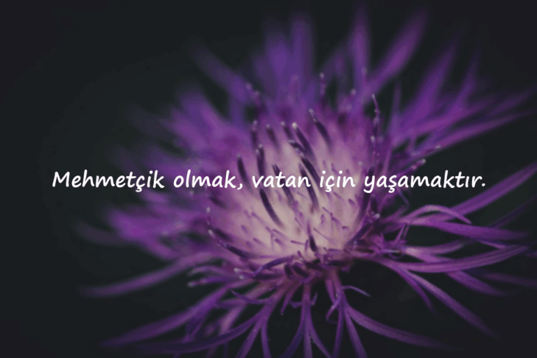 Askerlikle ilgili sözler