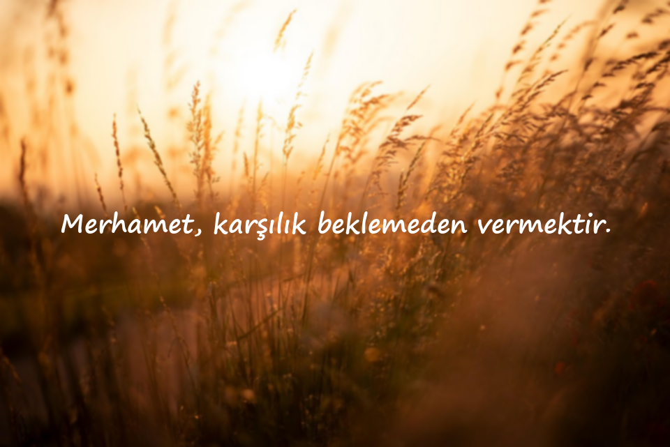 Merhamet İle İlgili sözler