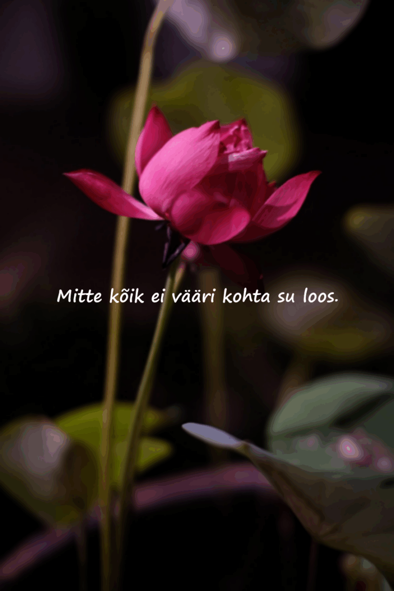 Asotsiaalsed Mõtted