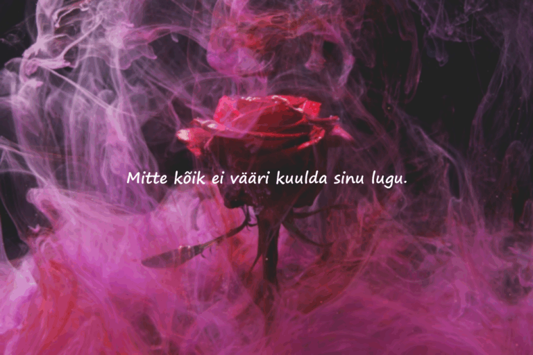 Tulised Sõnad