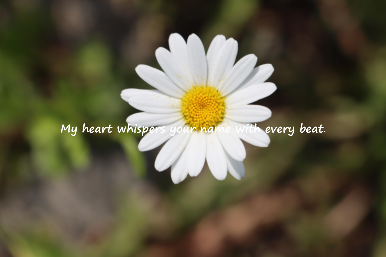 Emotional Love Quotes