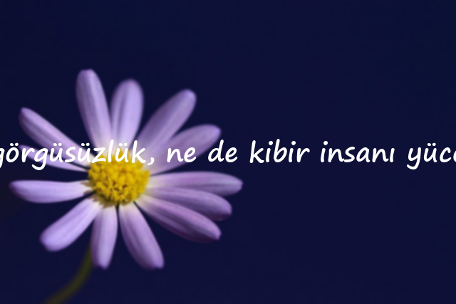 Görgüsüzlük ile İlgili Sözler