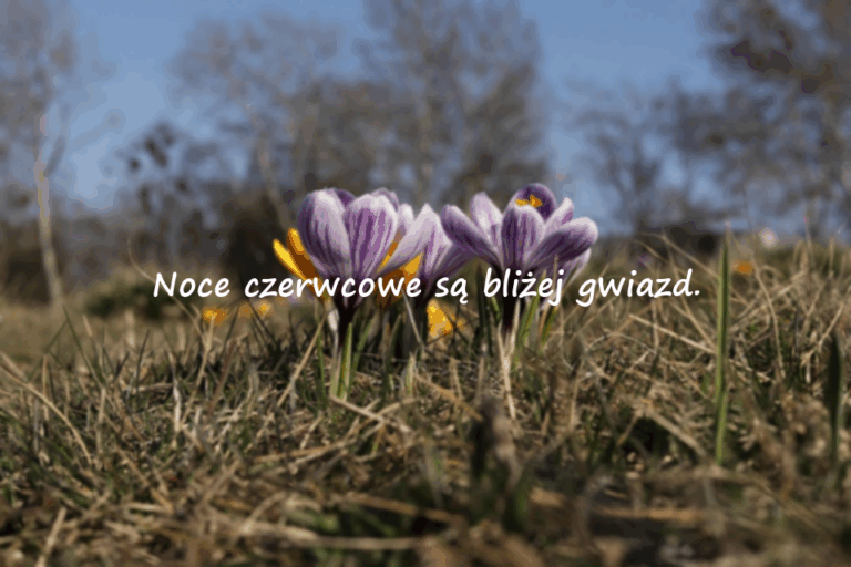 Cytaty o czerwcu