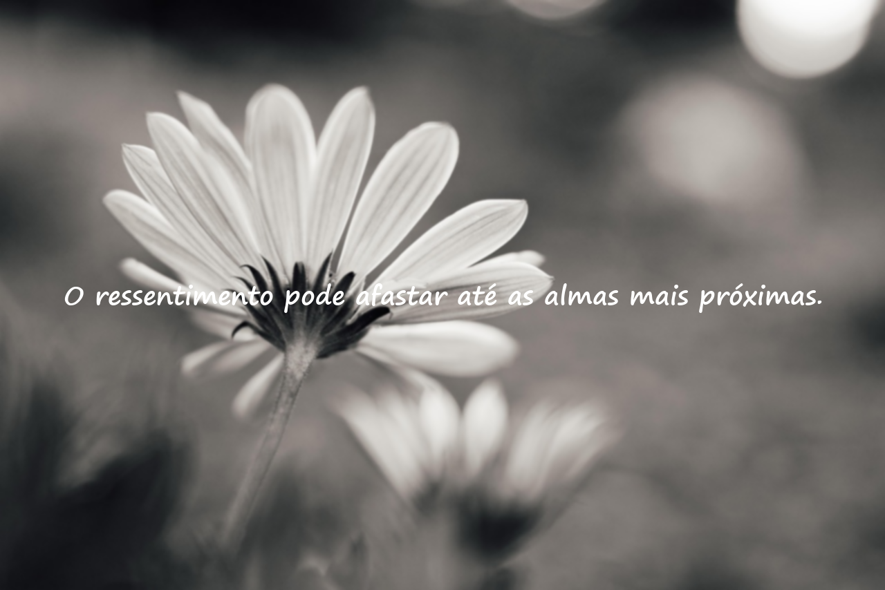 Frases Significativas sobre Ressentimento e Mágoa