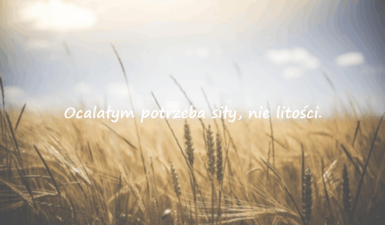 Cytaty przeciwko przemocy seksualnej
