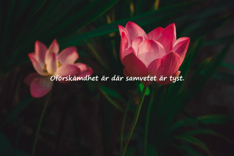 Citat om oförskämdhet