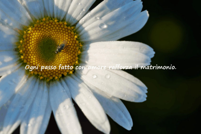 Parole sul matrimonio