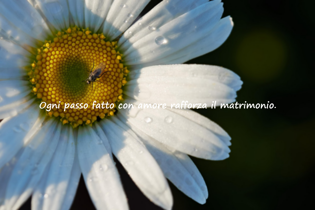 Parole sul matrimonio