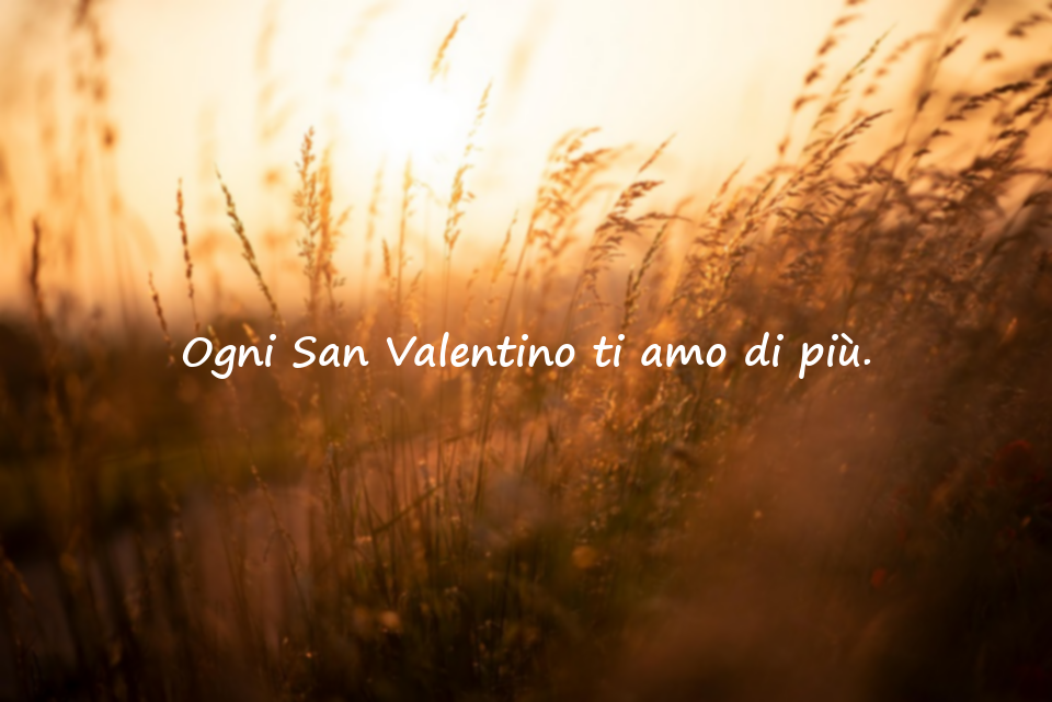 Citazioni d’amore e San Valentino