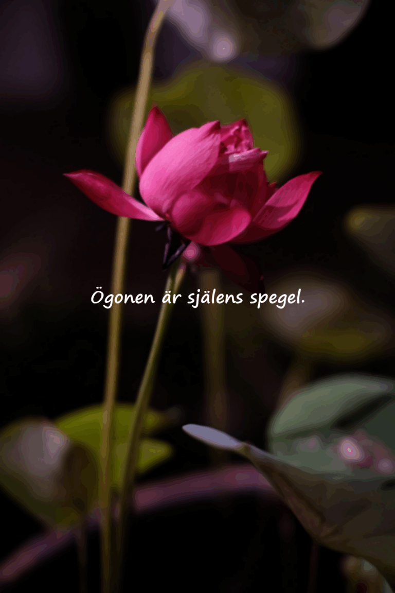Meningsfulla och vackra citat om ögon