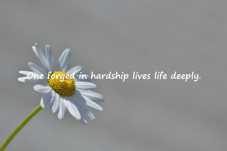 Quotes About Hardship