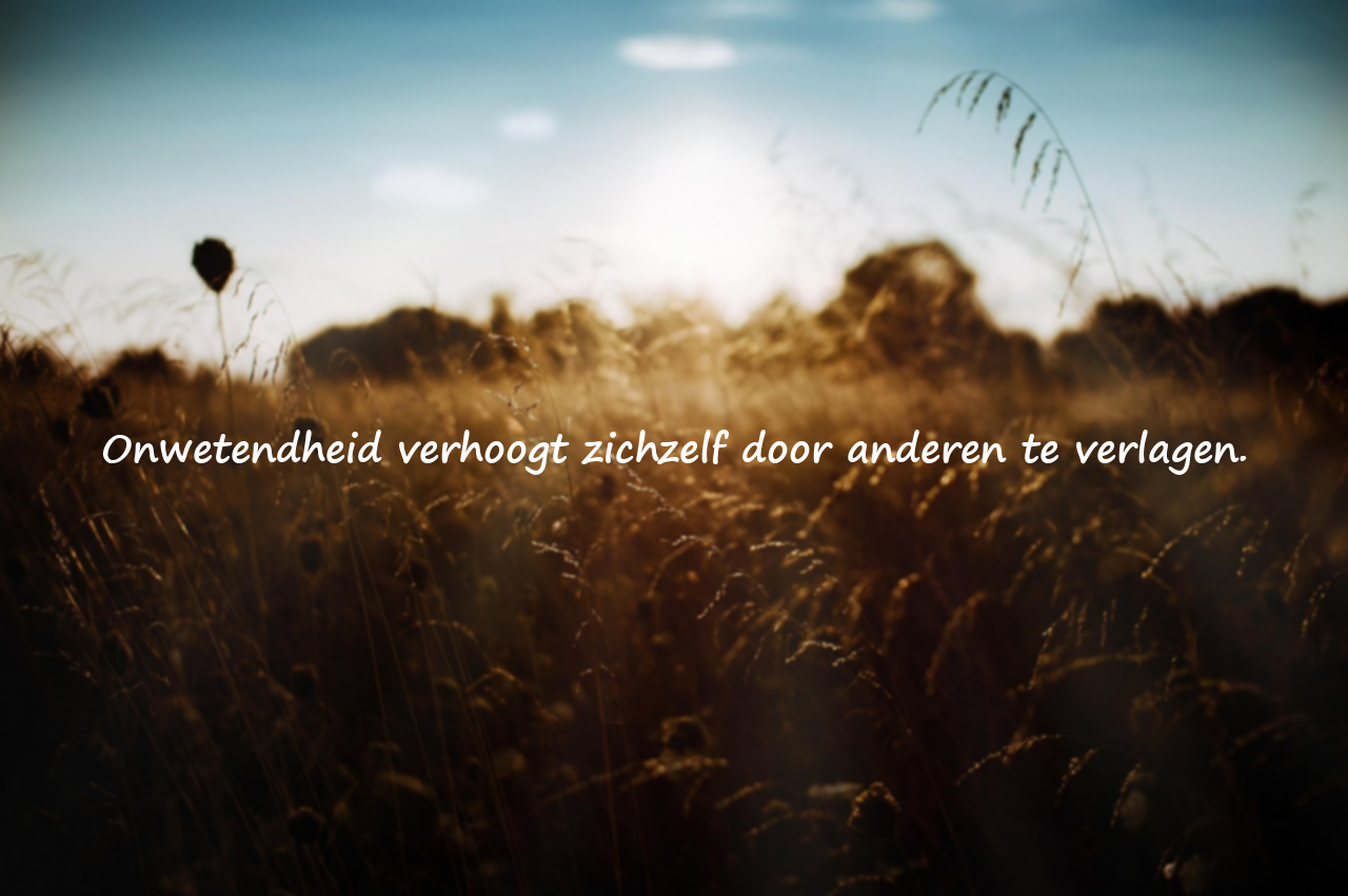 Citaten over onwetendheid