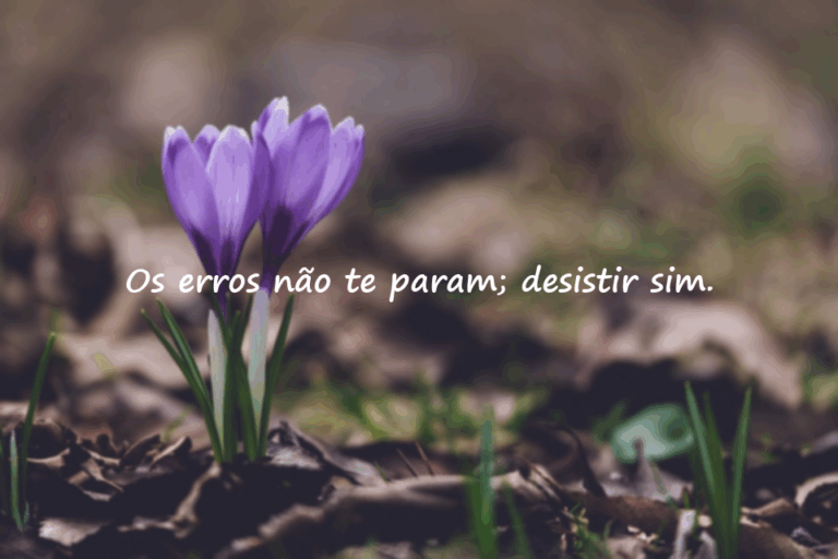 Belas frases sobre erros