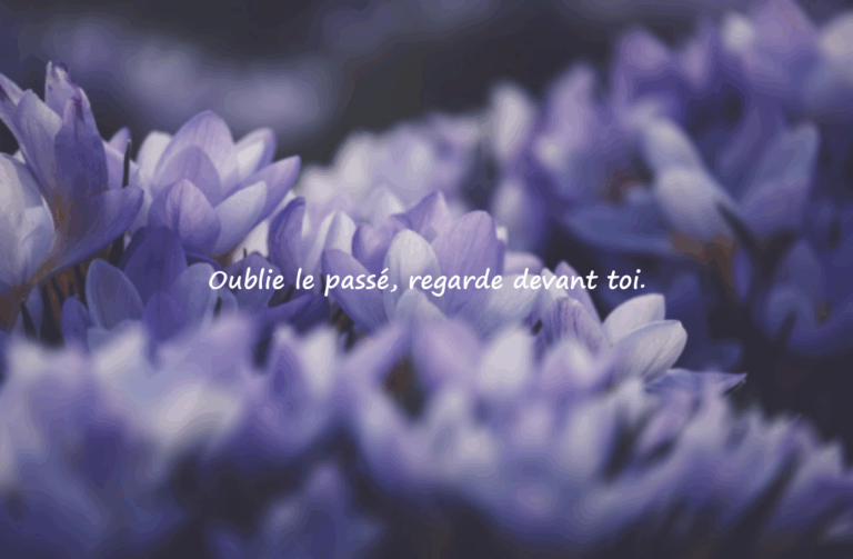Citations sur le départ