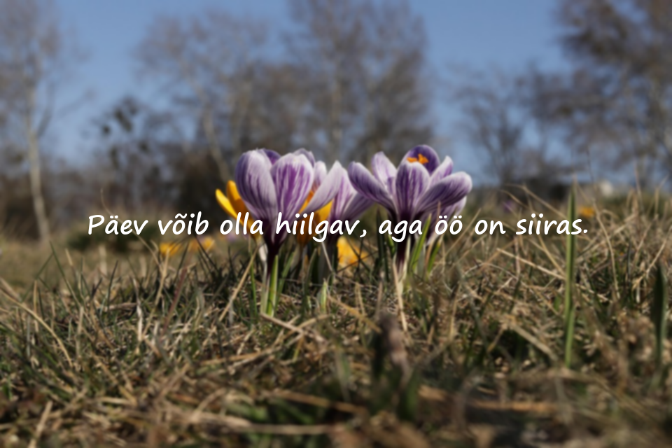 Tumedusega Seotud Tsitaadid
