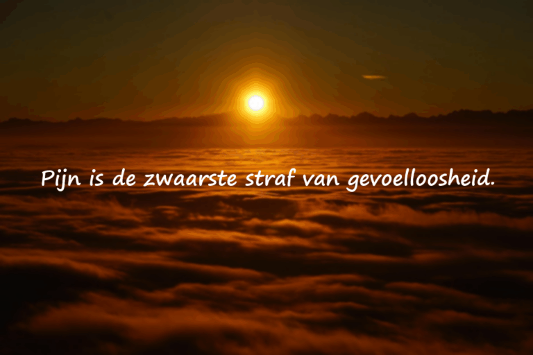 Betekenisvolle mooie citaten over gevoelloosheid