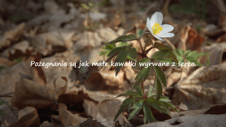 Słowa Pożegnania