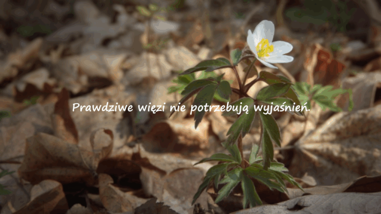 Ostre Słowa