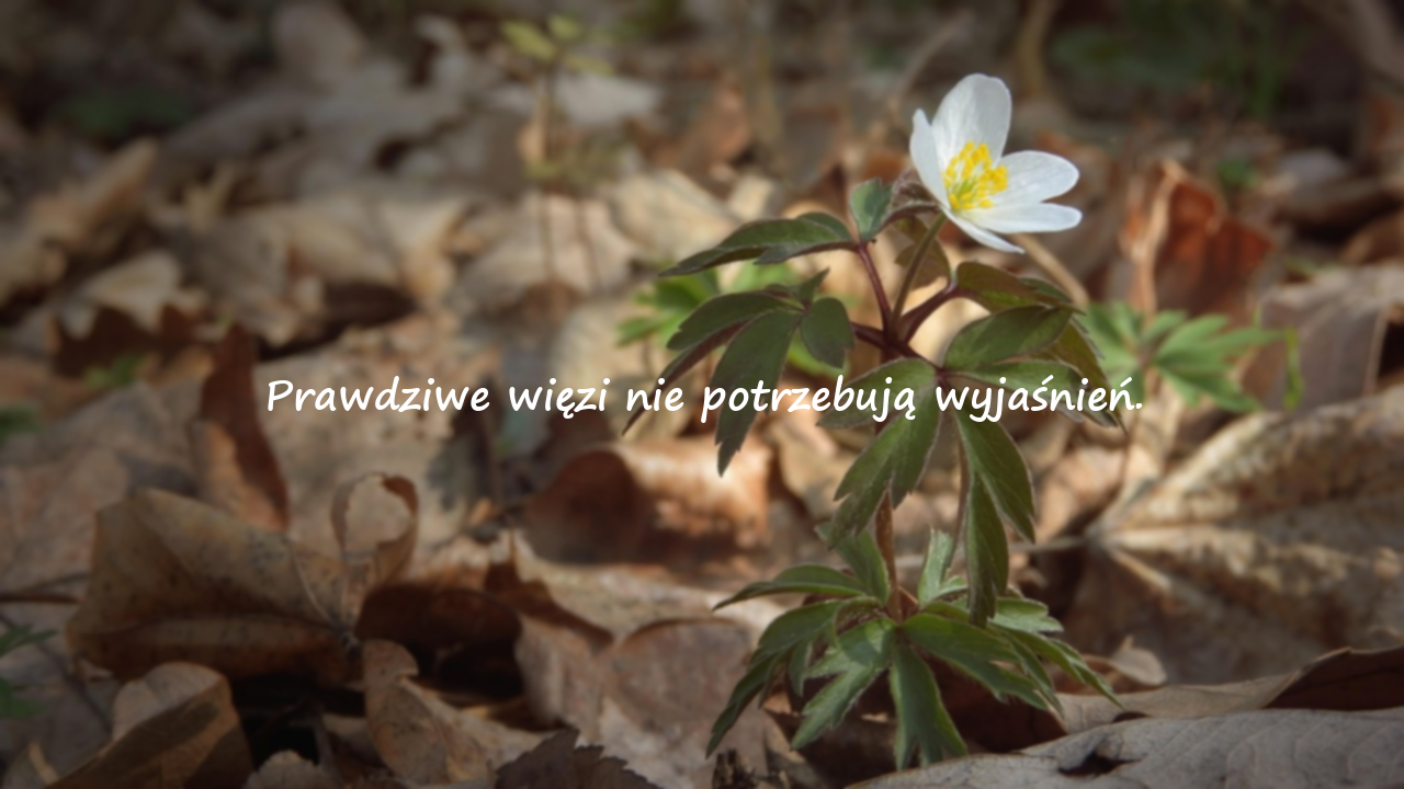 Ostre Słowa