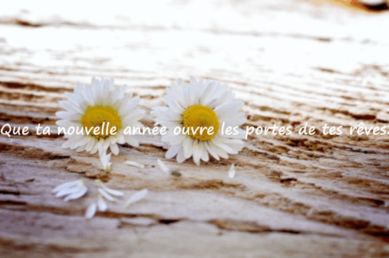 Belles phrases d’anniversaire